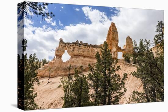 View of Two Towers Bridge from the Fairyland Trail in Bryce Canyon National Park, Utah, United Stat-Michael Nolan-Stretched Canvas