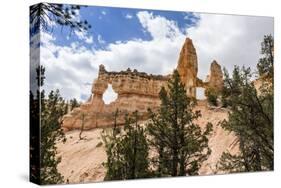 View of Two Towers Bridge from the Fairyland Trail in Bryce Canyon National Park, Utah, United Stat-Michael Nolan-Stretched Canvas