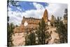 View of Two Towers Bridge from the Fairyland Trail in Bryce Canyon National Park, Utah, United Stat-Michael Nolan-Stretched Canvas