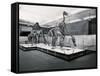 View of Tyrannosaur Skeletons in Museum-null-Framed Stretched Canvas