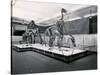 View of Tyrannosaur Skeletons in Museum-null-Stretched Canvas
