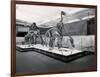 View of Tyrannosaur Skeletons in Museum-null-Framed Photographic Print