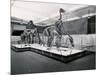 View of Tyrannosaur Skeletons in Museum-null-Mounted Photographic Print