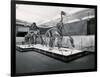 View of Tyrannosaur Skeletons in Museum-null-Framed Photographic Print