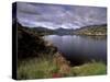 View of Upper Lake, Lakes of Killarney, Ring of Kerry, County Kerry, Munster, Republic of Ireland-Patrick Dieudonne-Stretched Canvas