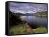 View of Upper Lake, Lakes of Killarney, Ring of Kerry, County Kerry, Munster, Republic of Ireland-Patrick Dieudonne-Framed Stretched Canvas
