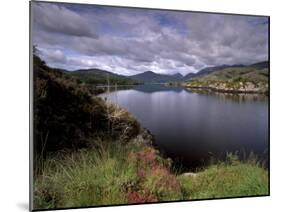 View of Upper Lake, Lakes of Killarney, Ring of Kerry, County Kerry, Munster, Republic of Ireland-Patrick Dieudonne-Mounted Photographic Print