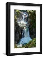 View of Upper Waterfall, Little Qualicum Falls Provincial Park, Little Qualicum River, British C...-null-Framed Photographic Print