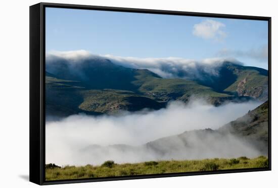 View of valley shrouded in fog at dawn, Mountain Zebra , Eastern Cape, South Africa-Chris & Tilde Stuart-Framed Stretched Canvas