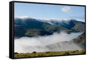 View of valley shrouded in fog at dawn, Mountain Zebra , Eastern Cape, South Africa-Chris & Tilde Stuart-Framed Stretched Canvas