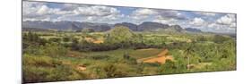 View of valley with farms, Mogotes, Vinales Valley, Cuba-null-Mounted Photographic Print