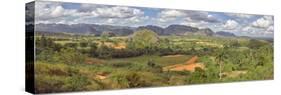 View of valley with farms, Mogotes, Vinales Valley, Cuba-null-Stretched Canvas