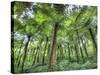View of Vegetation in Bali Botanical Gardens, Bali, Indonesia-null-Stretched Canvas