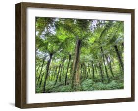 View of Vegetation in Bali Botanical Gardens, Bali, Indonesia-null-Framed Photographic Print