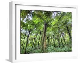 View of Vegetation in Bali Botanical Gardens, Bali, Indonesia-null-Framed Photographic Print