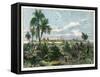 View of Vera Cruz, on the Gulf of Mexico, Mexico, C1880-null-Framed Stretched Canvas
