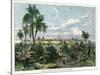 View of Vera Cruz, on the Gulf of Mexico, Mexico, C1880-null-Stretched Canvas