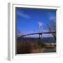 View of Verrazano Narrows Bridge-null-Framed Photographic Print