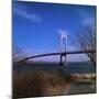 View of Verrazano Narrows Bridge-null-Mounted Photographic Print