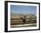 View of Versailles Park Side (Shooting in the 80S)-null-Framed Giclee Print