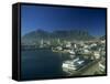 View of Victoria and Albert Waterfront with Table Mountain Behind, Cape Town, South Africa, Africa-Fraser Hall-Framed Stretched Canvas