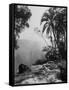 View of Victoria Falls-James Burke-Framed Stretched Canvas