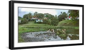 View of village and nature reserve, Las Terrazas, Candelaria, Artemisa Province, Cuba-null-Framed Photographic Print