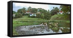 View of village and nature reserve, Las Terrazas, Candelaria, Artemisa Province, Cuba-null-Framed Stretched Canvas