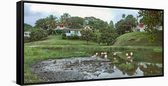 View of village and nature reserve, Las Terrazas, Candelaria, Artemisa Province, Cuba-null-Framed Stretched Canvas