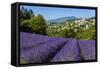 View of Village of Aurel with Field of Lavander in Bloom, Provence, France-Stefano Politi Markovina-Framed Stretched Canvas