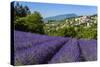 View of Village of Aurel with Field of Lavander in Bloom, Provence, France-Stefano Politi Markovina-Stretched Canvas