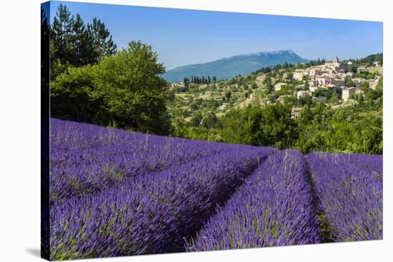 View of Village of Aurel with Field of Lavander in Bloom, Provence, France-Stefano Politi Markovina-Stretched Canvas