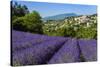 View of Village of Aurel with Field of Lavander in Bloom, Provence, France-Stefano Politi Markovina-Stretched Canvas