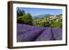 View of Village of Aurel with Field of Lavander in Bloom, Provence, France-Stefano Politi Markovina-Framed Photographic Print