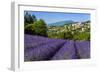 View of Village of Aurel with Field of Lavander in Bloom, Provence, France-Stefano Politi Markovina-Framed Photographic Print