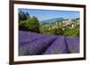 View of Village of Aurel with Field of Lavander in Bloom, Provence, France-Stefano Politi Markovina-Framed Photographic Print