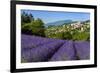 View of Village of Aurel with Field of Lavander in Bloom, Provence, France-Stefano Politi Markovina-Framed Photographic Print