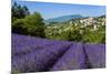 View of Village of Aurel with Field of Lavander in Bloom, Provence, France-Stefano Politi Markovina-Mounted Photographic Print