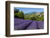 View of Village of Aurel with Field of Lavander in Bloom, Provence, France-Stefano Politi Markovina-Framed Photographic Print