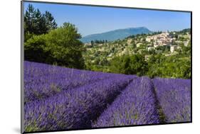 View of Village of Aurel with Field of Lavander in Bloom, Provence, France-Stefano Politi Markovina-Mounted Photographic Print