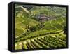 View of Vineyards and Durbach Village, Ortenau, Baden-Wurttemberg, Germany, Europe-Jochen Schlenker-Framed Stretched Canvas