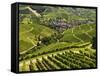 View of Vineyards and Durbach Village, Ortenau, Baden-Wurttemberg, Germany, Europe-Jochen Schlenker-Framed Stretched Canvas