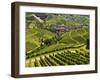 View of Vineyards and Durbach Village, Ortenau, Baden-Wurttemberg, Germany, Europe-Jochen Schlenker-Framed Photographic Print