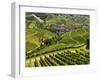 View of Vineyards and Durbach Village, Ortenau, Baden-Wurttemberg, Germany, Europe-Jochen Schlenker-Framed Photographic Print