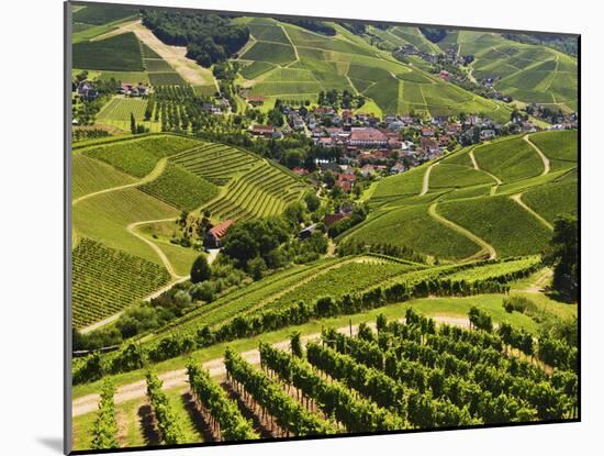 View of Vineyards and Durbach Village, Ortenau, Baden-Wurttemberg, Germany, Europe-Jochen Schlenker-Mounted Photographic Print