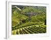 View of Vineyards and Durbach Village, Ortenau, Baden-Wurttemberg, Germany, Europe-Jochen Schlenker-Framed Photographic Print