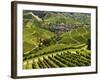View of Vineyards and Durbach Village, Ortenau, Baden-Wurttemberg, Germany, Europe-Jochen Schlenker-Framed Photographic Print