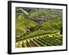 View of Vineyards and Durbach Village, Ortenau, Baden-Wurttemberg, Germany, Europe-Jochen Schlenker-Framed Photographic Print