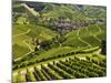 View of Vineyards and Durbach Village, Ortenau, Baden-Wurttemberg, Germany, Europe-Jochen Schlenker-Mounted Photographic Print