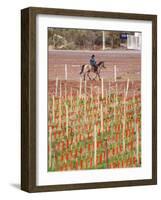 View of Vineyards and Mountain, Bodega Del Anelo Winery, Finca Roja, Neuquen, Patagonia, Argentina-Per Karlsson-Framed Photographic Print